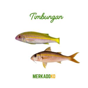Timbungan