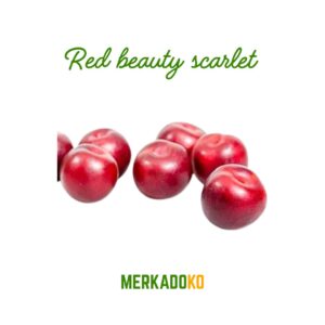 Red Beauty Scarlet Clamshell 10pack (5 Kg Box)