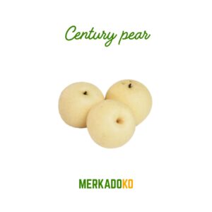 Century Pear (13 Kg Box) 48's