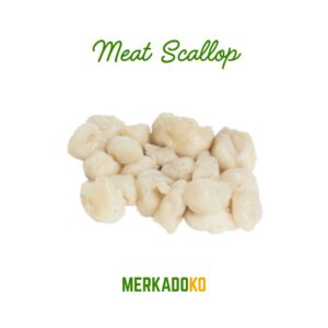 Meat Scallop Kg